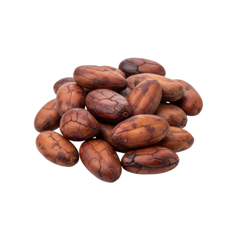 premium cocoa beans